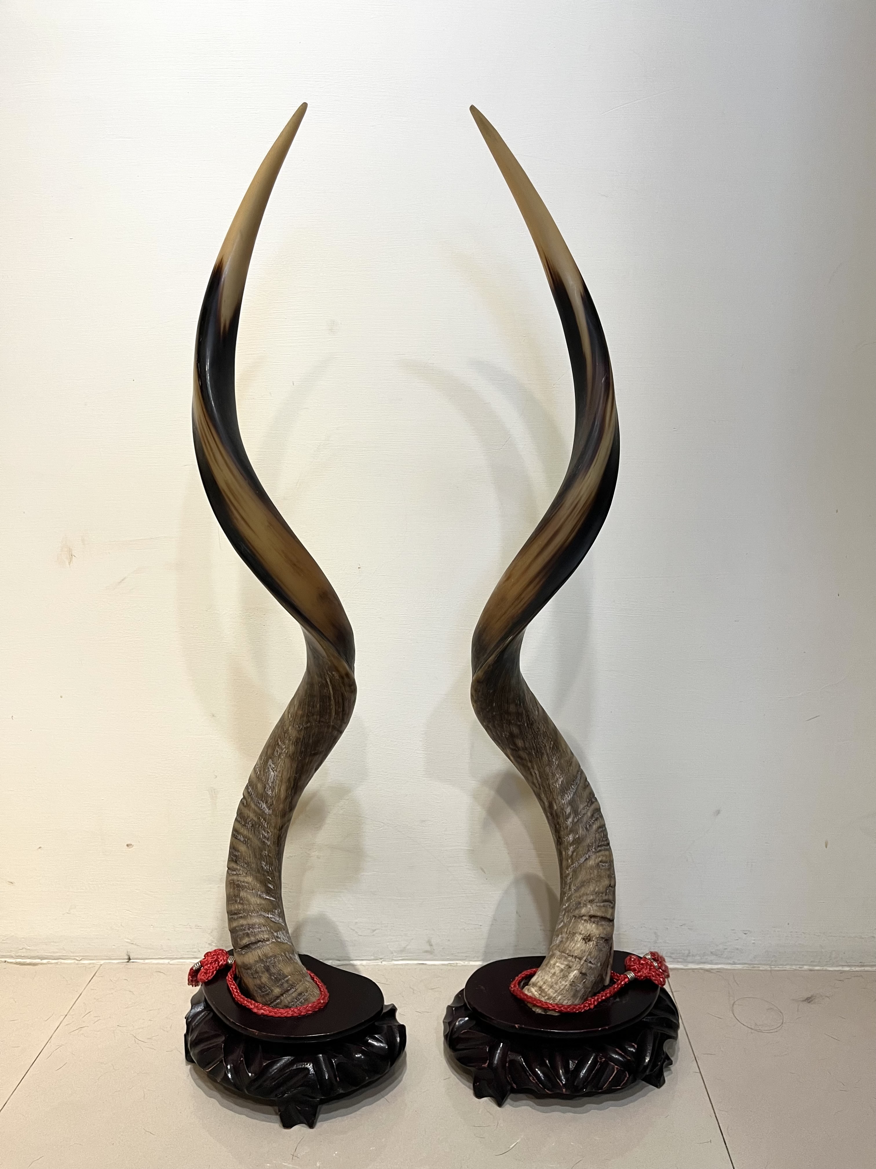 Antelope horns